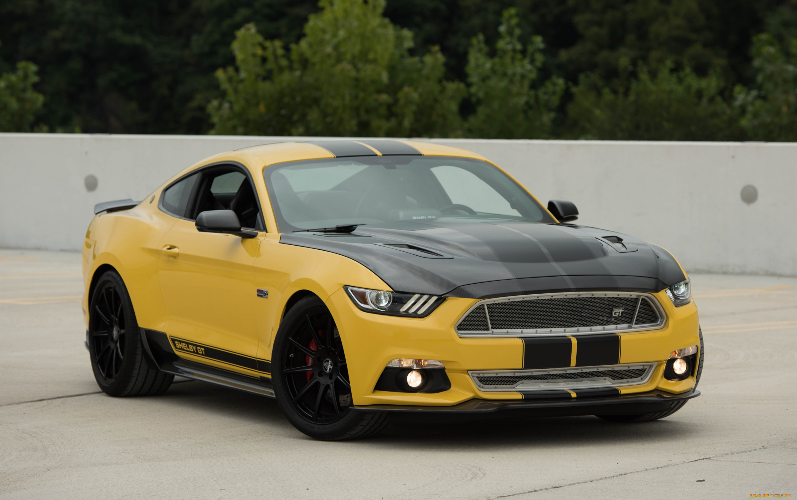 , mustang
